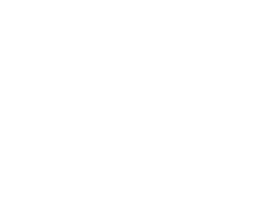 N. Zahles Skole logo